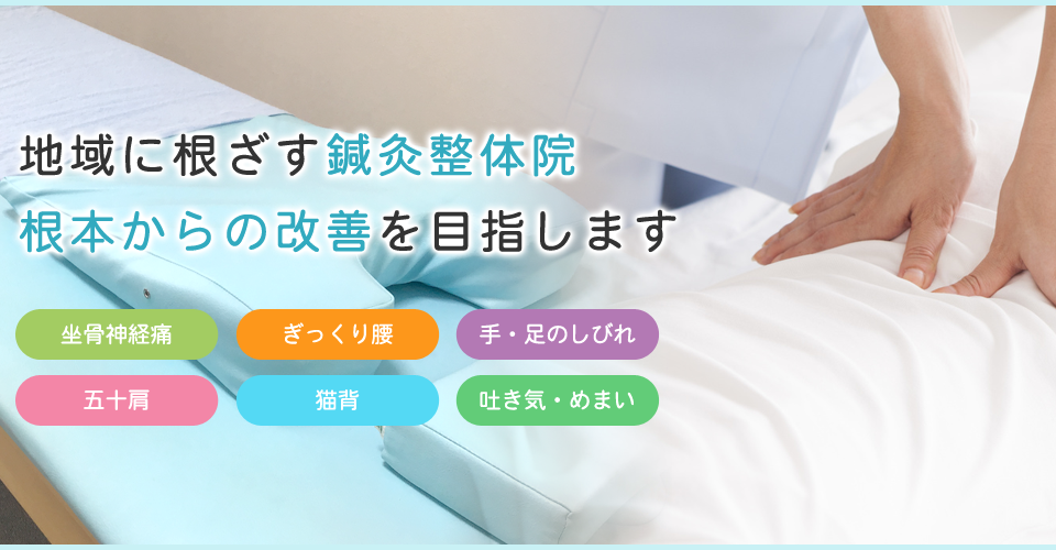 おがわ鍼灸整体院